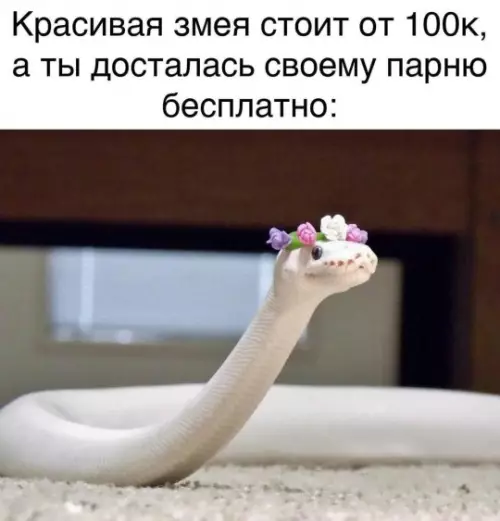 Смешная картинка №812841