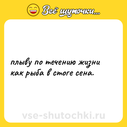 Шутка: плыву по течению жизни как рыба в стоге сена.