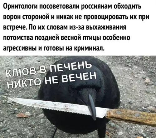 Смешная картинка №358149