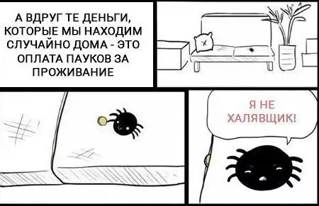 Смешная картинка №178202 паук