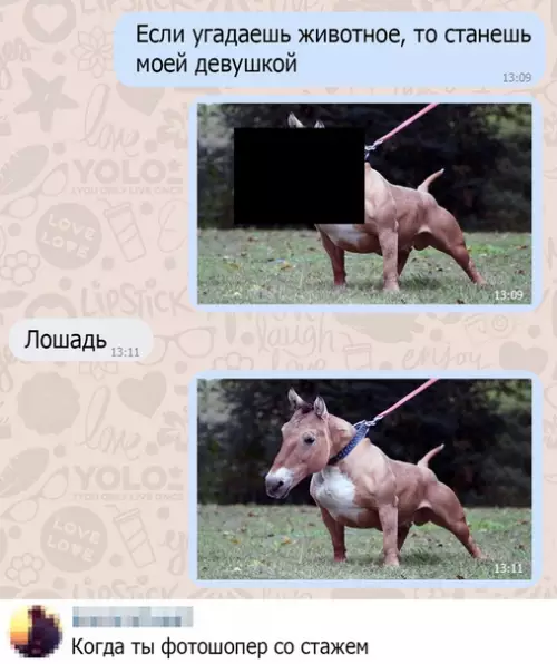 Смешная картинка №493002