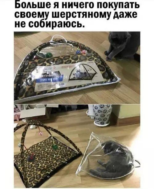 Смешная картинка №735344