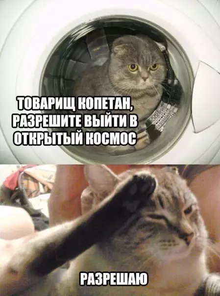 Смешная картинка №267505