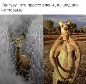 Смешная картинка №764893