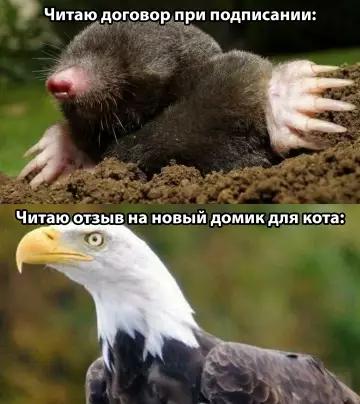 Смешная картинка №784639