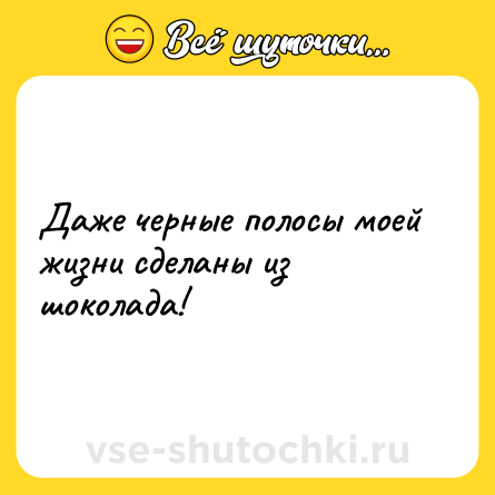 Шутка: Даже черные полосы моей жизни сделаны из шоколада!