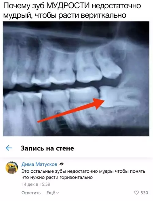 Смешная картинка №618343