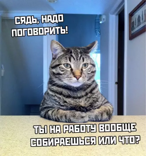 Смешная картинка №481629 Карантин