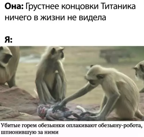 Смешная картинка №500375