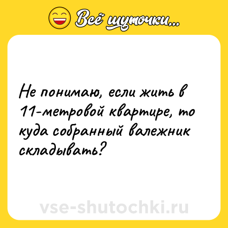 Шутка: Не понимаю, если жить в 11-метровой квартире, то куда собранный валежник складывать?