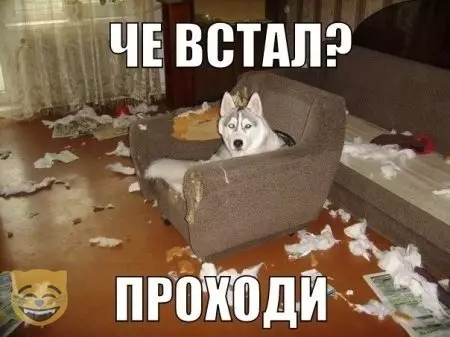Смешная картинка №478792 #приколы #картинки #мемы ?