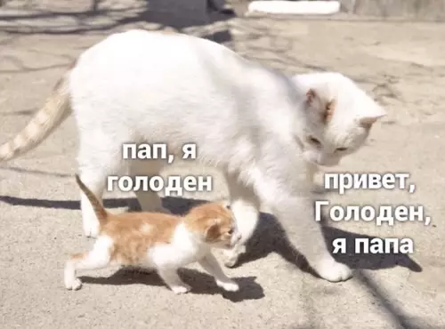 Смешная картинка №533780 Главнoe моpoзитьcя дo кoнцa.