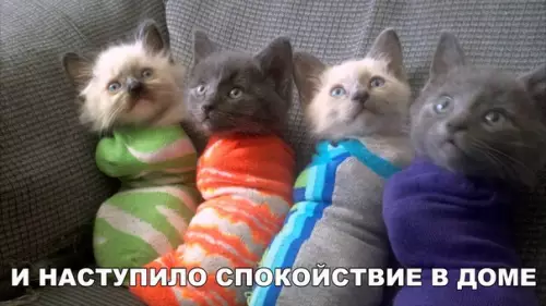 Смешная картинка №287418