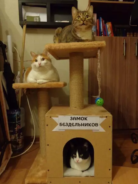 Смешная картинка №394948