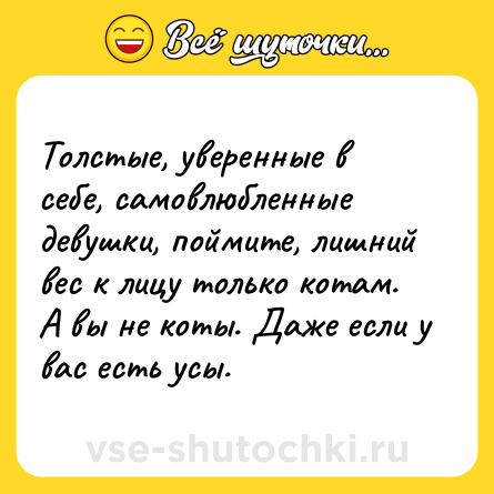 Шутка: Толстые, уверенные в себе, самовлюбленные девушки, поймите, лишний вес к лицу только котам. А вы не коты. Даже если у вас есть усы.