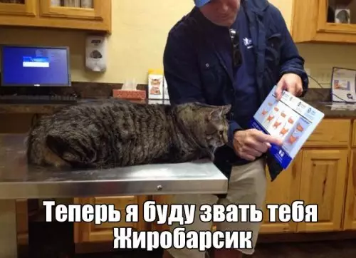 Смешная картинка №301772