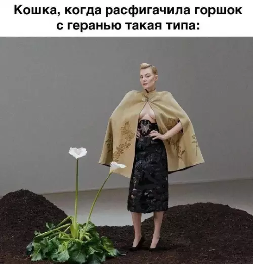 Смешная картинка №737973