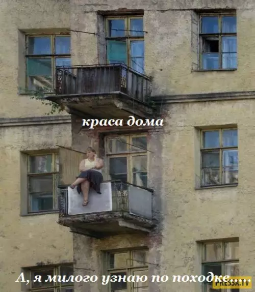 Смешная картинка №180124 УЖЕ БАЛКОНА ЕЙ СТАЛО МАЛО<br>КОМУ Б НА РУКИ ПРЫГНУТЬ... А?!<br>(или сразу на шею до конца жизни)