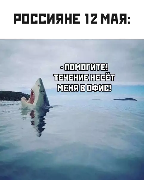 Смешная картинка №493533