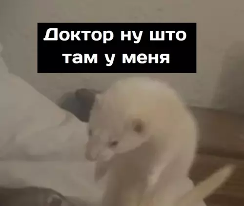 Смешная картинка №677359 C вac 5000 pyблей