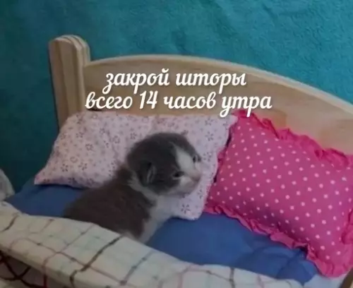 Смешная картинка №722221