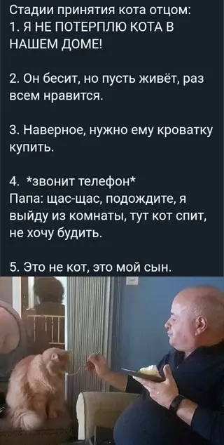 Смешная картинка №672606