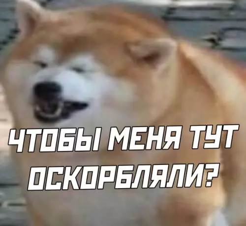 продолжение Смешная картинка №569466
