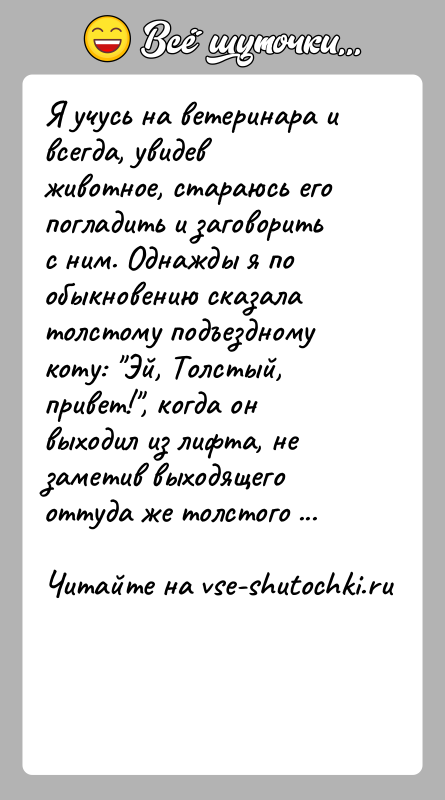 История: Я учусь на ветеринара и всегда, увидев животное, стараюсь его погладить и заговорить с ним. Однажды я по обыкновению сказала