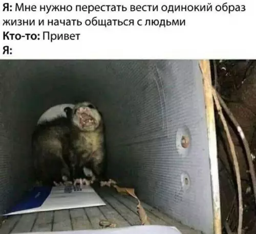 Смешная картинка №701726