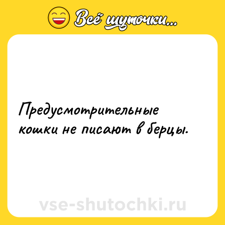 Шутка: Предусмотрительные кошки не писают в берцы.