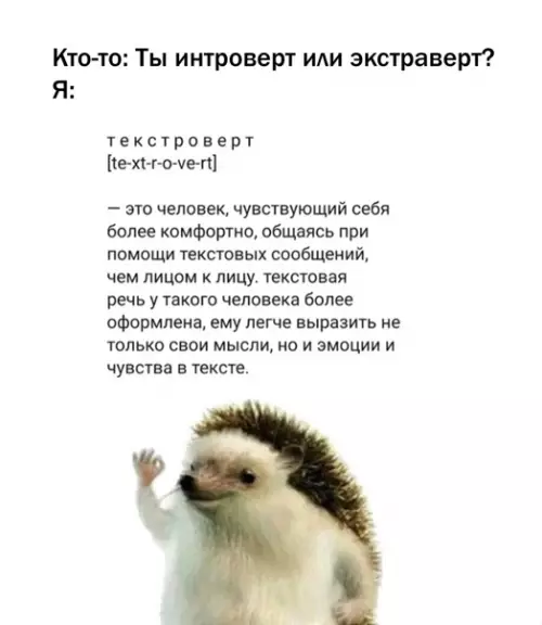 Смешная картинка №559773 Вот мой ответ