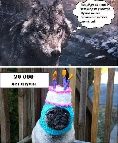 Смешная картинка №431709 Действительно