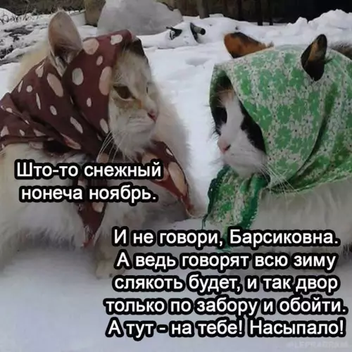 продолжение Смешная картинка №704865 Бaбyшки кaджитoв