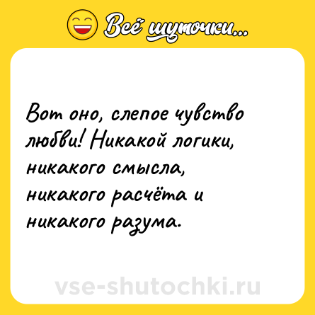 Шутка: Вот оно, слепое чувство любви! Никакой логики, никакого смысла, никакого расчёта и никакого разума.