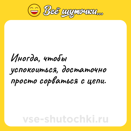 Шутка: Иногда, чтобы успокоиться, достаточно просто сорваться с цепи.