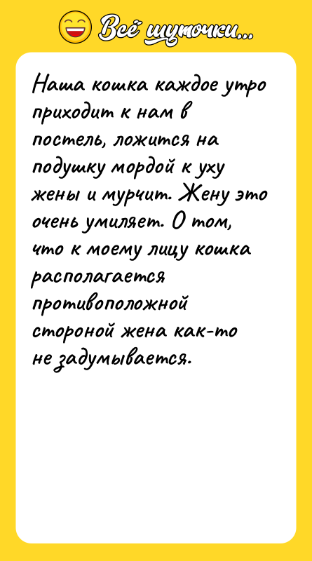 Наша кошка каждое утро приходит к нам в постель, ложится