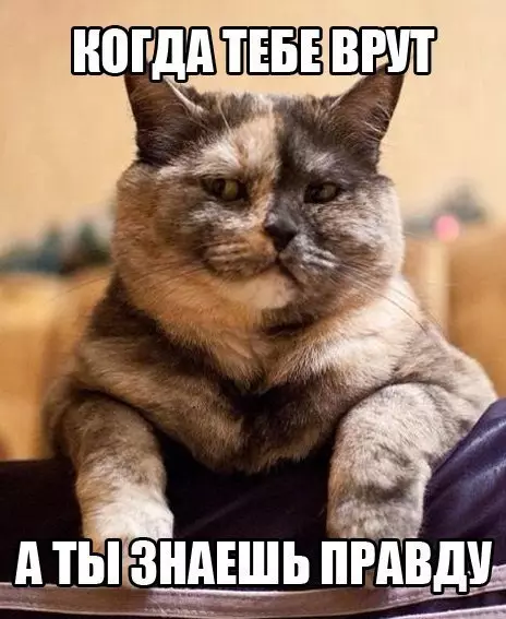 Смешная картинка №283161