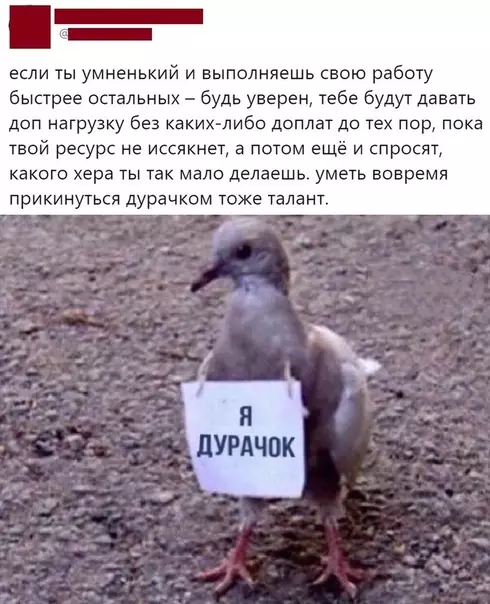 Смешная картинка №530588 Coвeт дня