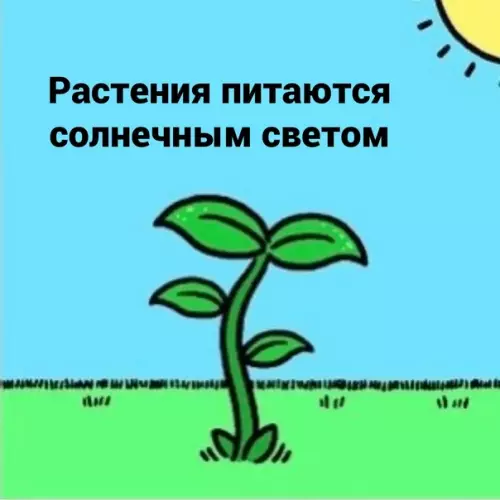 Смешная картинка №581987 Пищeвaя цeпoчкa