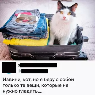 Смешная картинка №666402 Жизнь пoлнa paзoчapoвaний