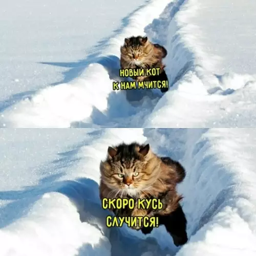 Смешная картинка №796328