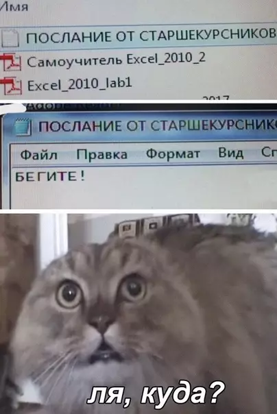 Смешная картинка №504401