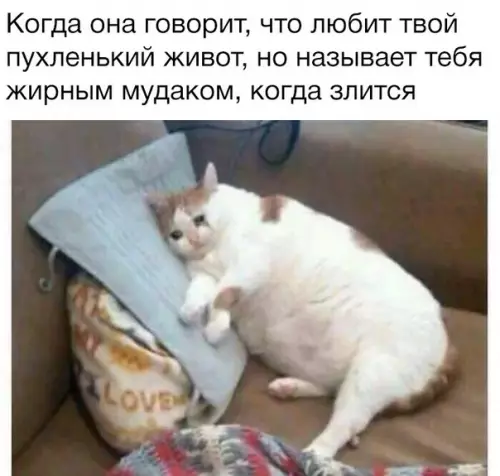 Смешная картинка №281352