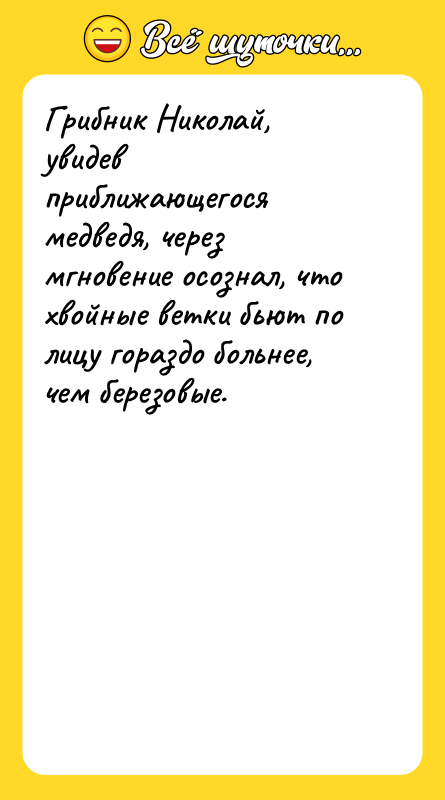 Грибник Николай, увидев приближающегося медведя, через мгновение осознал, что хвойные