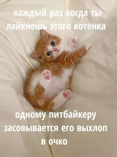 Смешная картинка №777191