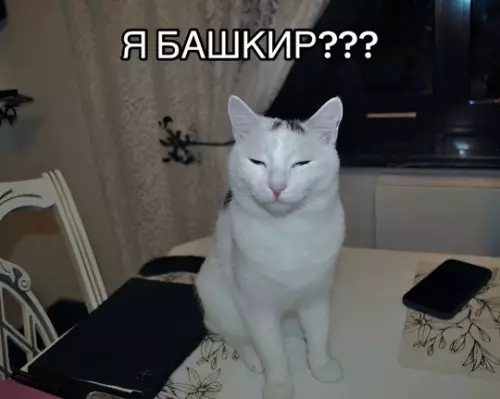 продолжение Смешная картинка №765627 Неожидал