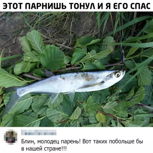 Смешная картинка №498519