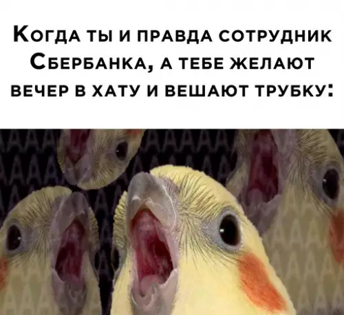 Смешная картинка №665222