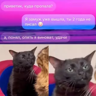 Смешная картинка №718024 переписка