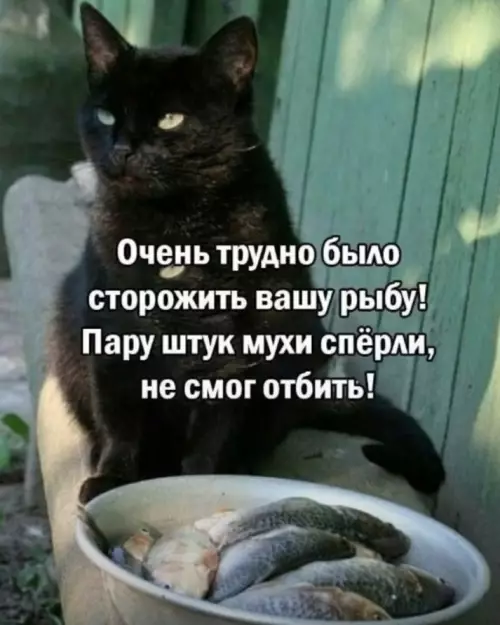 Смешная картинка №782239 Охраняющевовое